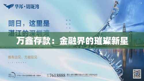 万鑫存款：金融界的璀璨新星