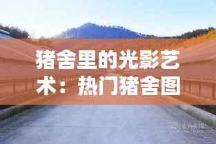 猪舍里的光影艺术:热门猪舍图片大全赏析