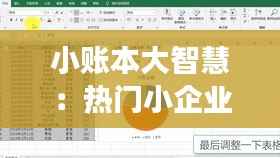 小账本大智慧:热门小企业会计准则的创意解读