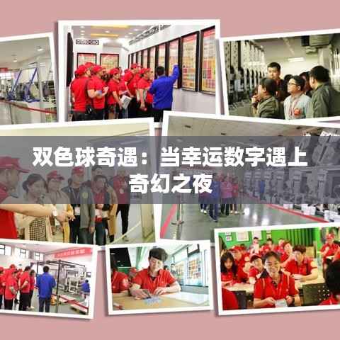 双色球奇遇:当幸运数字遇上奇幻之夜