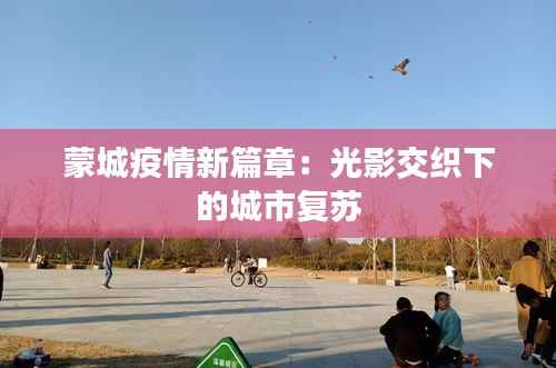 蒙城疫情新篇章：光影交织下的城市复苏