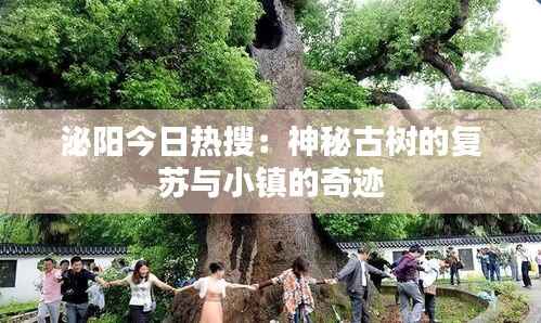 泌阳今日热搜:神秘古树的复苏与小镇的奇迹