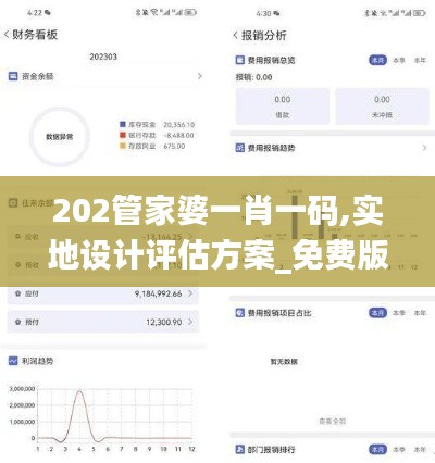 202管家婆一肖一码,实地设计评估方案_免费版136.299-7