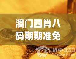 澳门四肖八码期期准免费公开？,快速解答计划解析_VR2.983