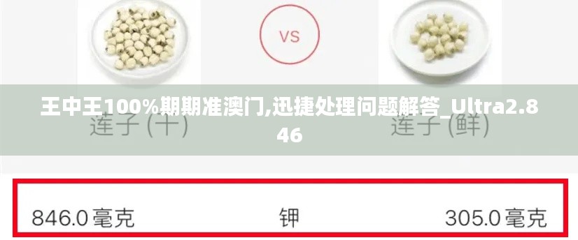 王中王100%期期准澳门,迅捷处理问题解答_Ultra2.846