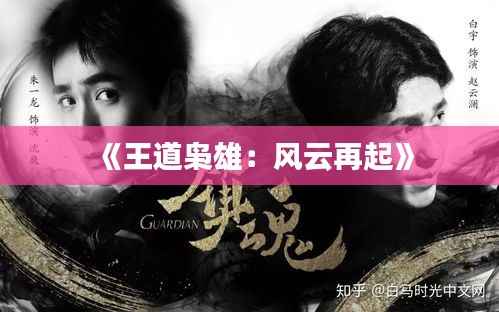 《王道枭雄：风云再起》
