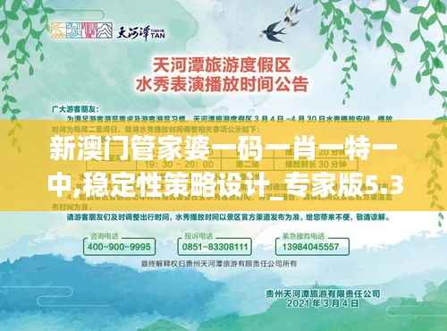 新澳门管家婆一码一肖一特一中,稳定性策略设计_专家版5.349