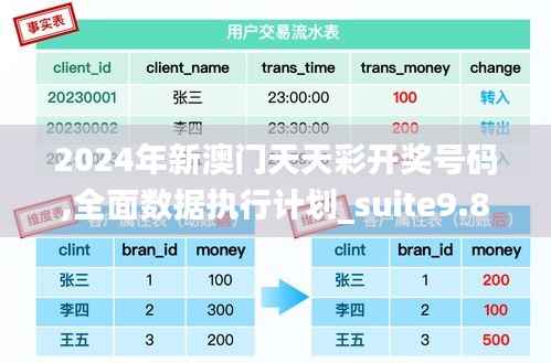 2024年新澳门天天彩开奖号码,全面数据执行计划_suite9.846
