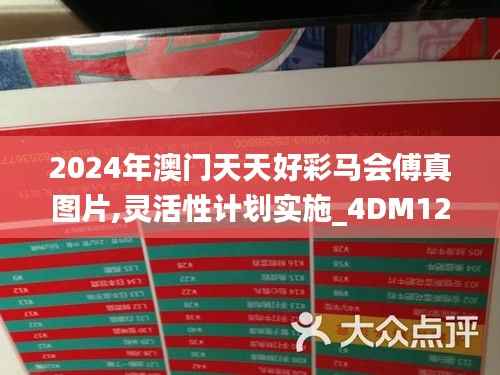 2024年澳门天天好彩马会傅真图片,灵活性计划实施_4DM12.883