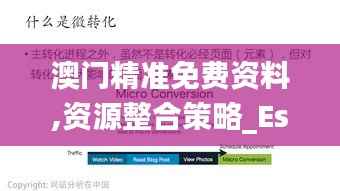 澳门精准免费资料,资源整合策略_Essential5.120