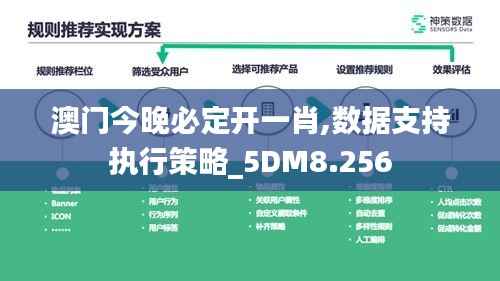 澳门今晚必定开一肖,数据支持执行策略_5DM8.256