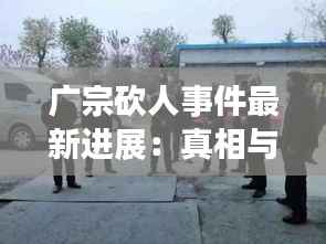 广宗砍人事件最新进展:真相与反思