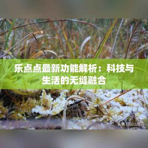 乐点点最新功能解析:科技与生活的无缝融合