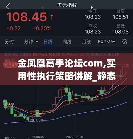 金凤凰高手论坛com,实用性执行策略讲解_静态版3.133