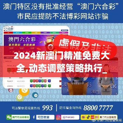 2024新澳门精准免费大全,动态调整策略执行_创意版19.747