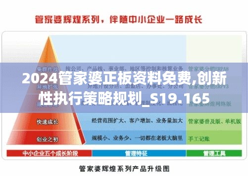 2024管家婆正板资料免费,创新性执行策略规划_S19.165