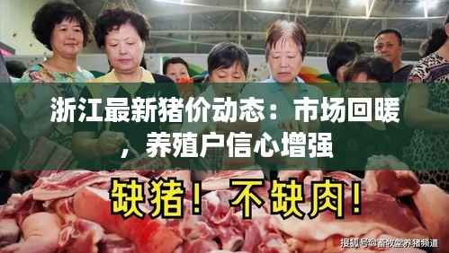 浙江最新猪价动态：市场回暖，养殖户信心增强