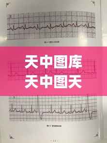 天中图库天中图天中图库汇总,连贯评估方法_安卓版5.384