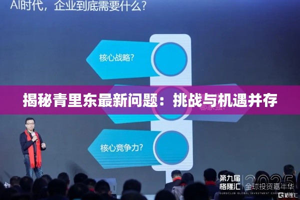 揭秘青里东最新问题:挑战与机遇并存