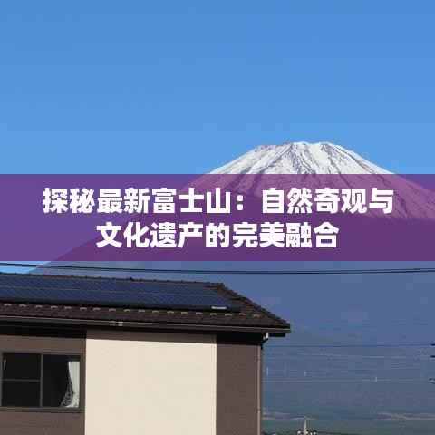 奔走如飞 第4页