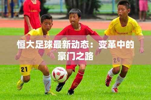 恒大足球最新动态：变革中的豪门之路