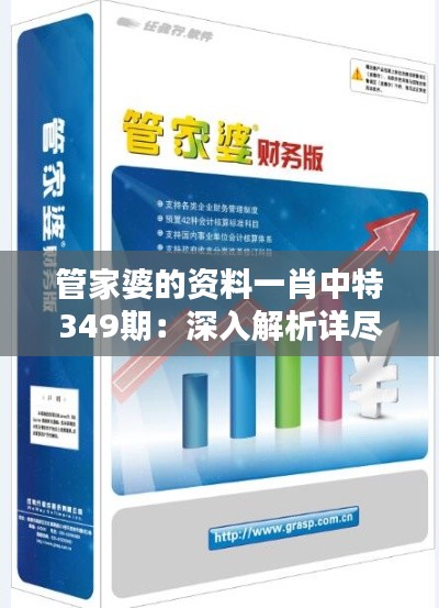 管家婆的资料一肖中特349期:深入解析详尽的财税管理信息