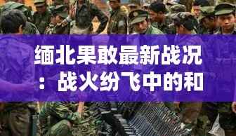 缅北果敢最新战况:战火纷飞中的和平曙光