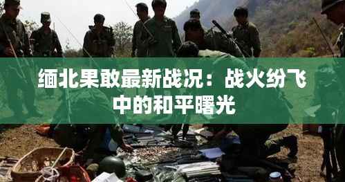 缅北果敢最新战况:战火纷飞中的和平曙光
