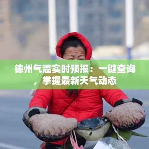 质而不俚 第3页