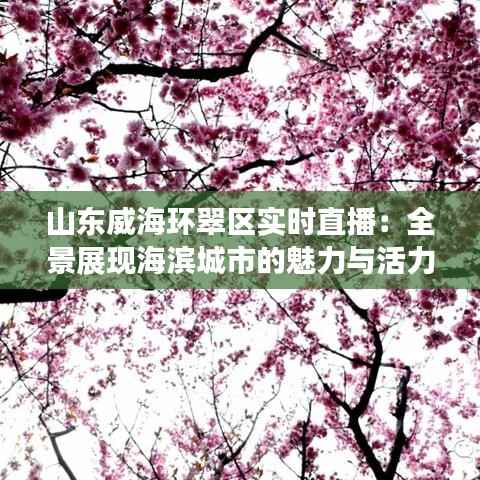 山东威海环翠区实时直播:全景展现海滨城市的魅力与活力