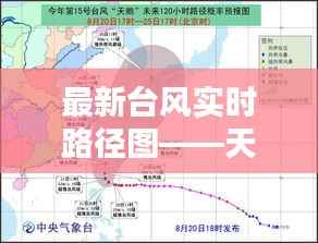 洵属可贵 第3页