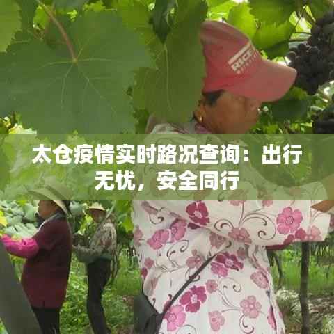 衣不完采 第4页
