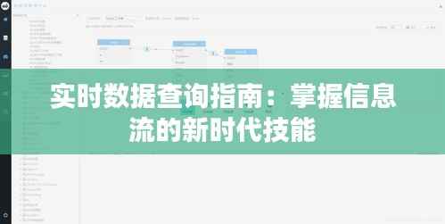 实时数据查询指南：掌握信息流的新时代技能