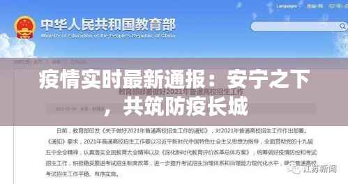 疫情实时最新通报:安宁之下,共筑防疫长城