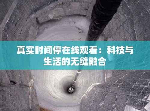 真实时间停在线观看：科技与生活的无缝融合
