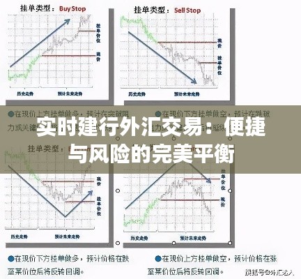 实时建行外汇交易：便捷与风险的完美平衡