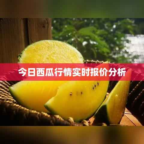 铺张扬厉 第3页