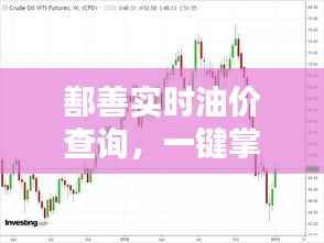 鄯善实时油价查询，一键掌握最新油市动态——鄯善油价查询表电话全解析