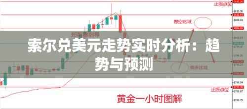 索尔兑美元走势实时分析:趋势与预测