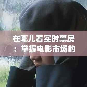 在哪儿看实时票房:掌握电影市场的脉搏
