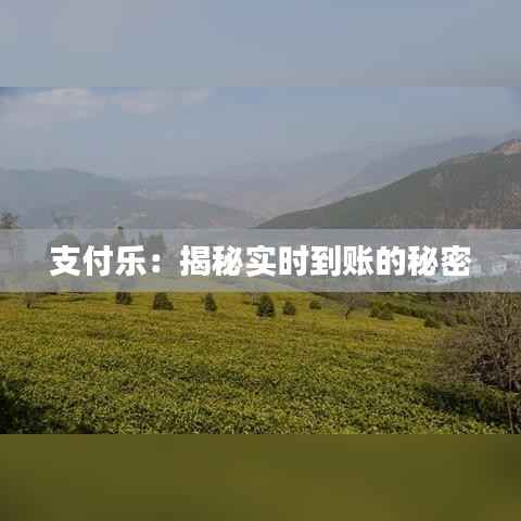 黑天摸地 第4页