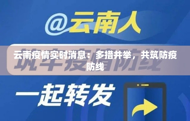 云南疫情实时消息:多措并举,共筑防疫防线