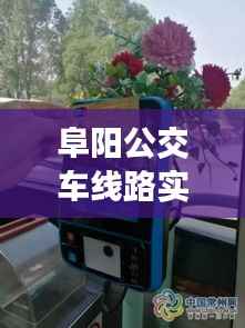 阜阳公交车线路实时查询:便捷出行,智慧城市新体验