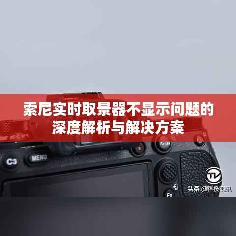 贵人善忘 第2页