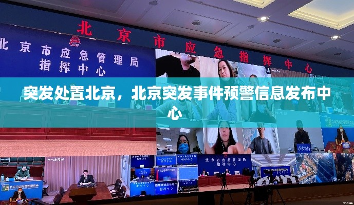 独出新裁 第3页