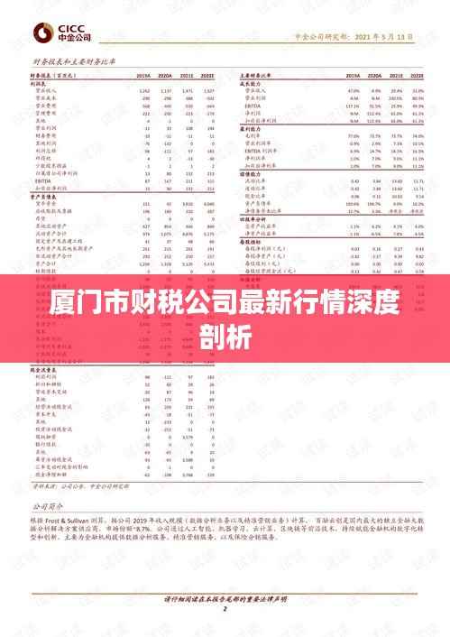 厦门市财税公司最新行情深度剖析