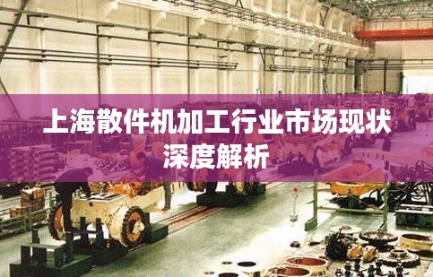 上海散件机加工行业市场现状深度解析