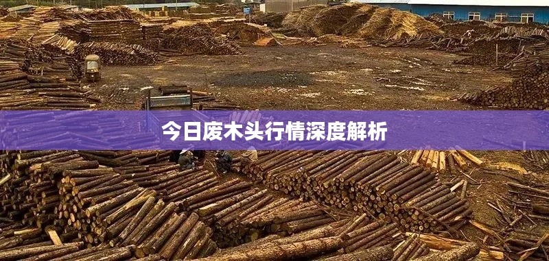 今日废木头行情深度解析