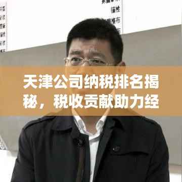 天津公司纳税排名揭秘，税收贡献助力经济发展双翼腾飞