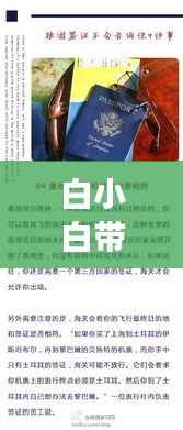 张冠李戴 第2页